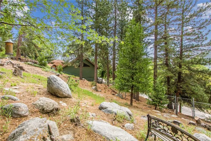 enclosed yard area