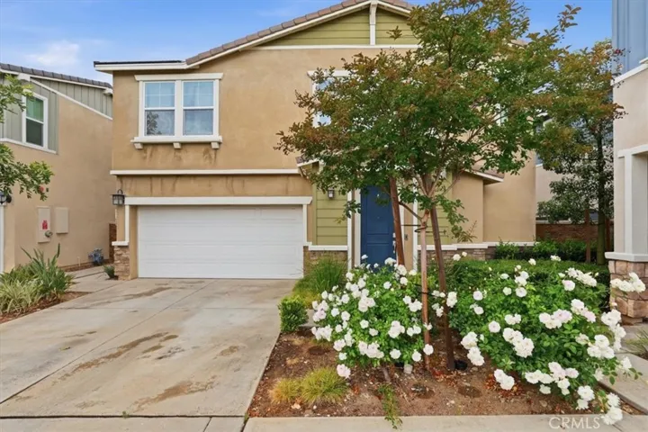Front Property View