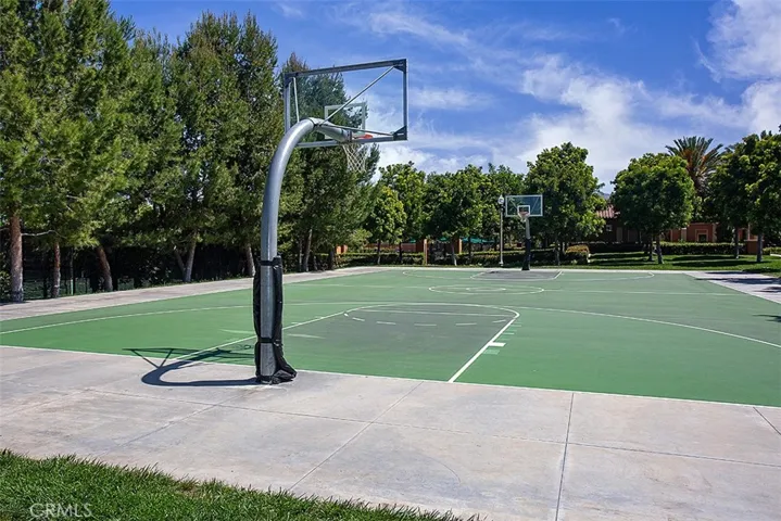 community sport court