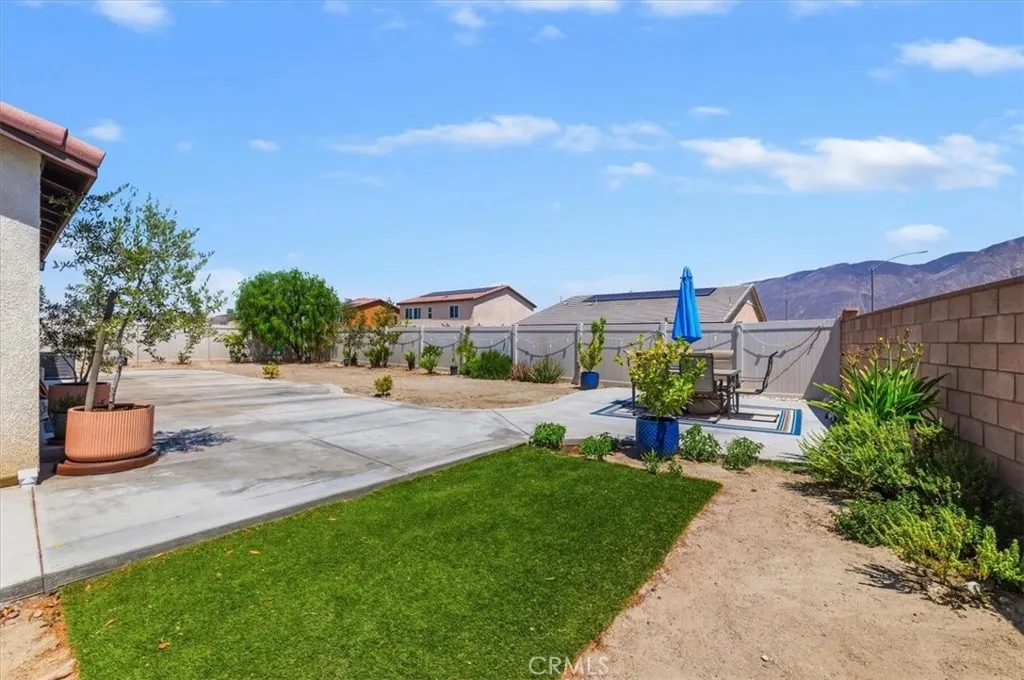Extra Large BackYard