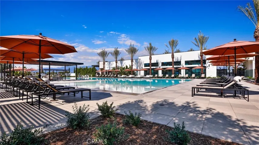 The Pool