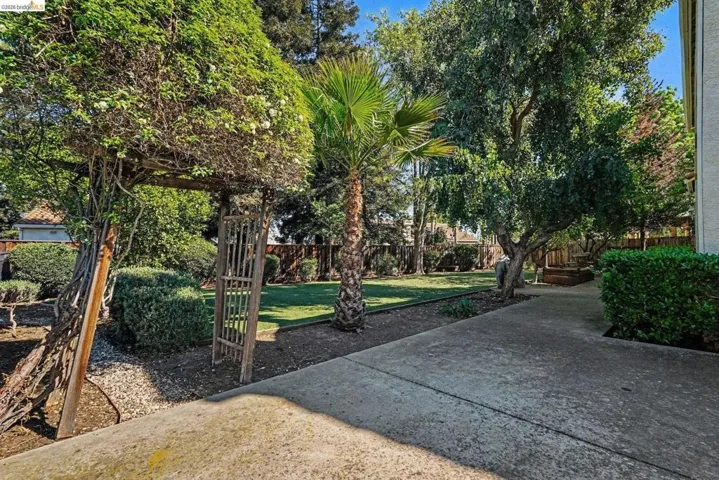 Expansive backyard featuring a lush green lawn, mature trees, a palm tree, and a decorative garden arbor