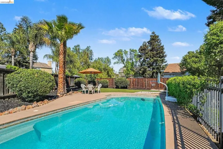 Backyard oasis featuring a large swimming pool, concrete patio surround, mature palm trees, and a wooden privacy fence