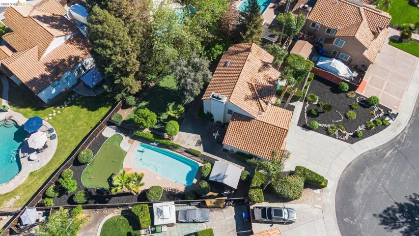 Rear yard featuring a swimming pool, manicured putting green, and mature landscaping