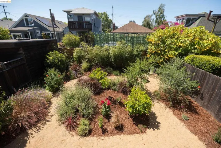 Back Garden