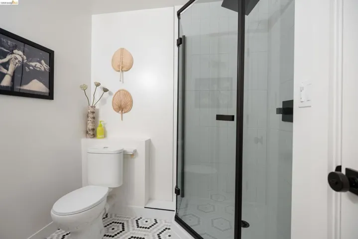 Lower Level Bathroom
