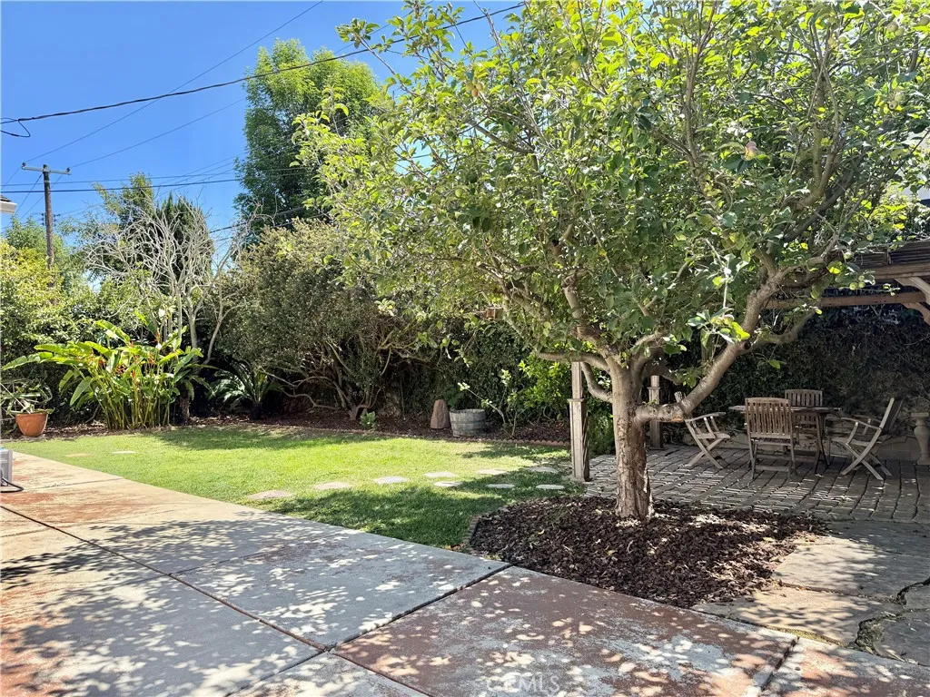 Spacious backyard
