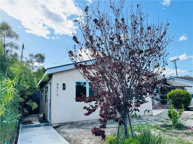 Front yard and private entrance