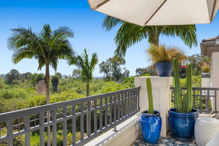 2704 Mackinnon Ranch Road, Cardiff By The Sea, California 92007