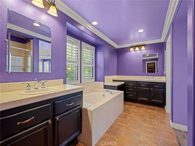 Primary Suite Bathroom