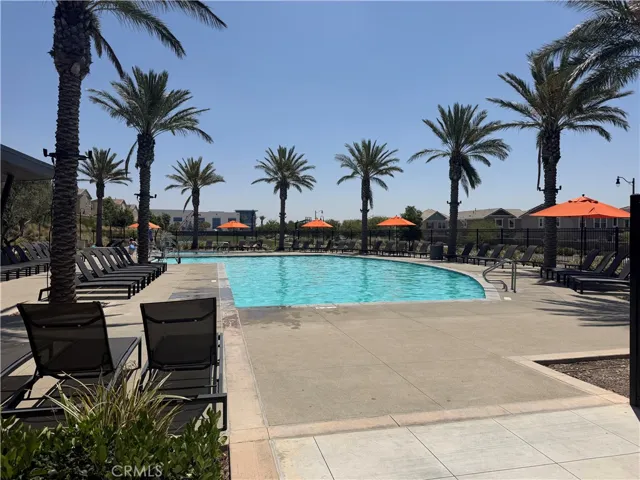 Commnity Pool