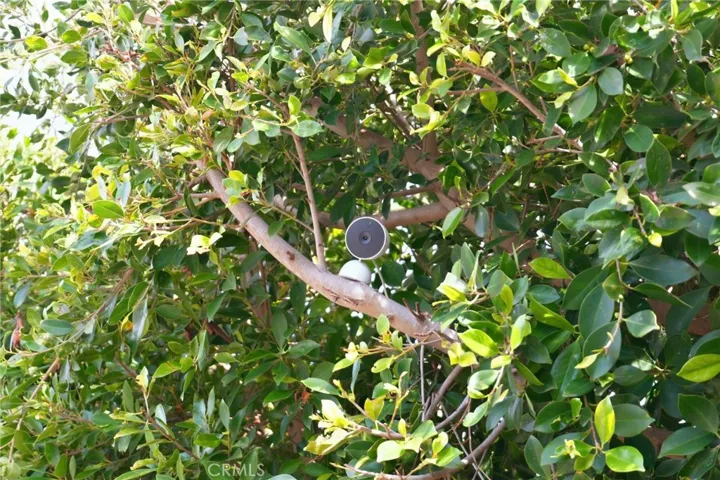 Hidden surveillance cameras breath a sense of safety 24/7