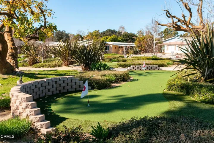 43-web-or-mls-Mini Golf