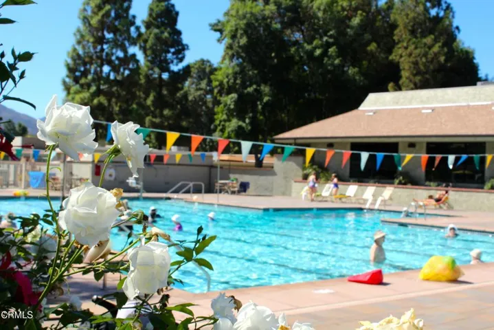 LV POOL