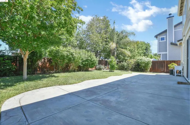 Expansive concrete patio area with a curved edge, surrounded by mature trees and lush greenery