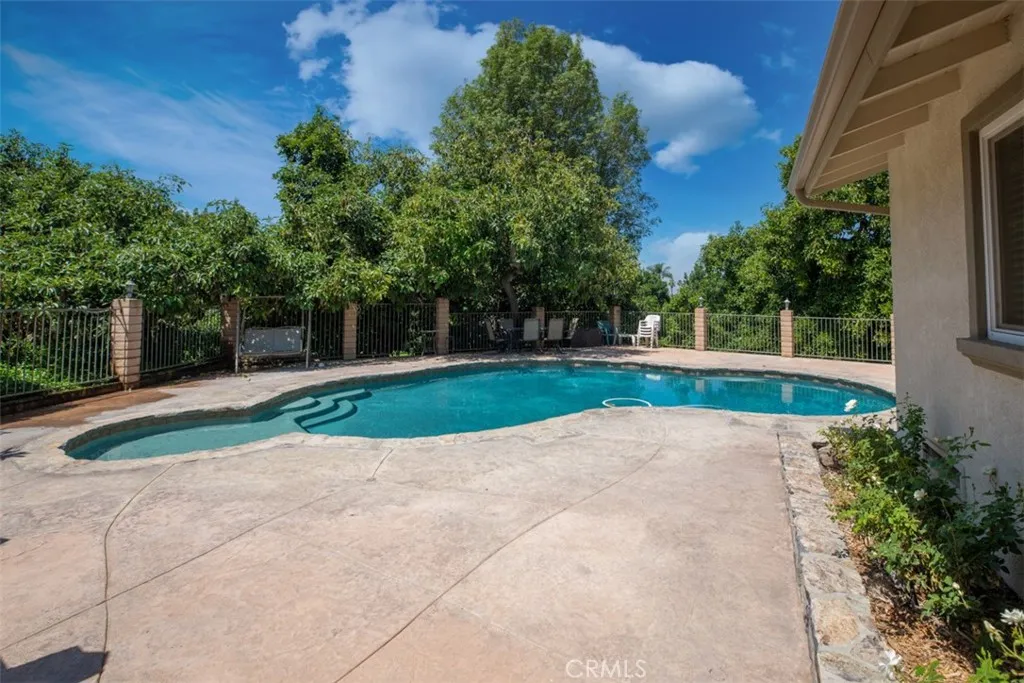 Beautiful Pool