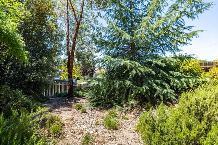 145 Via Camelia, Paso Robles, California 93446
