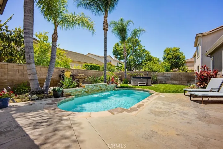 Backyard oasis