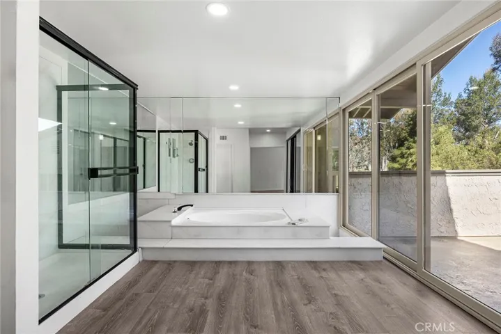Walk-in Shower and Seperate Soaking Tub