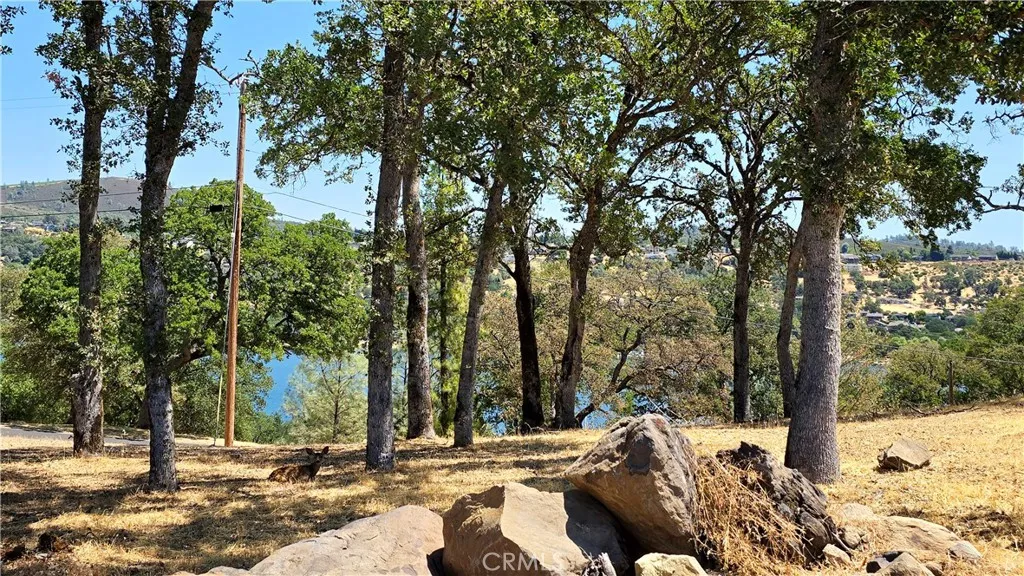 Park across the street has lake views.