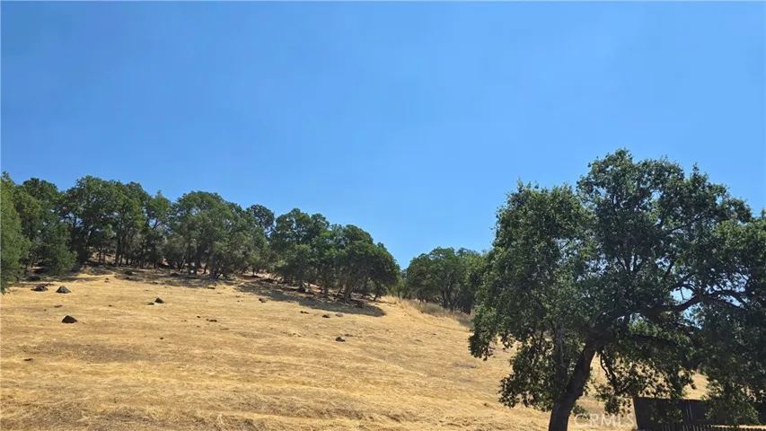 Looking up at lot from neighboring parcel.