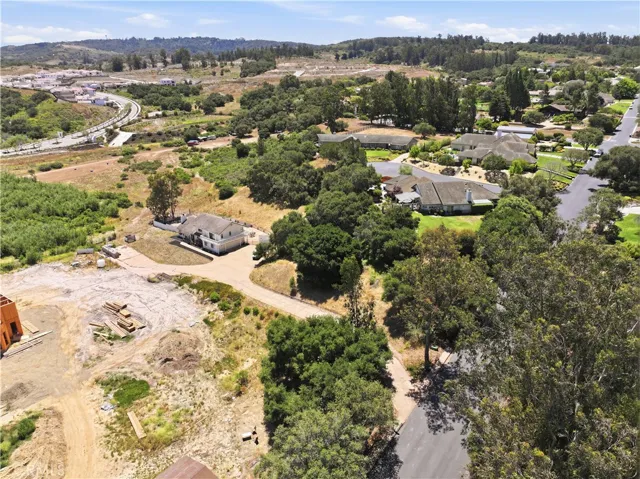 Aerial View of Neighborhood