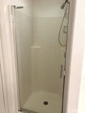 Master Bathroom Shower