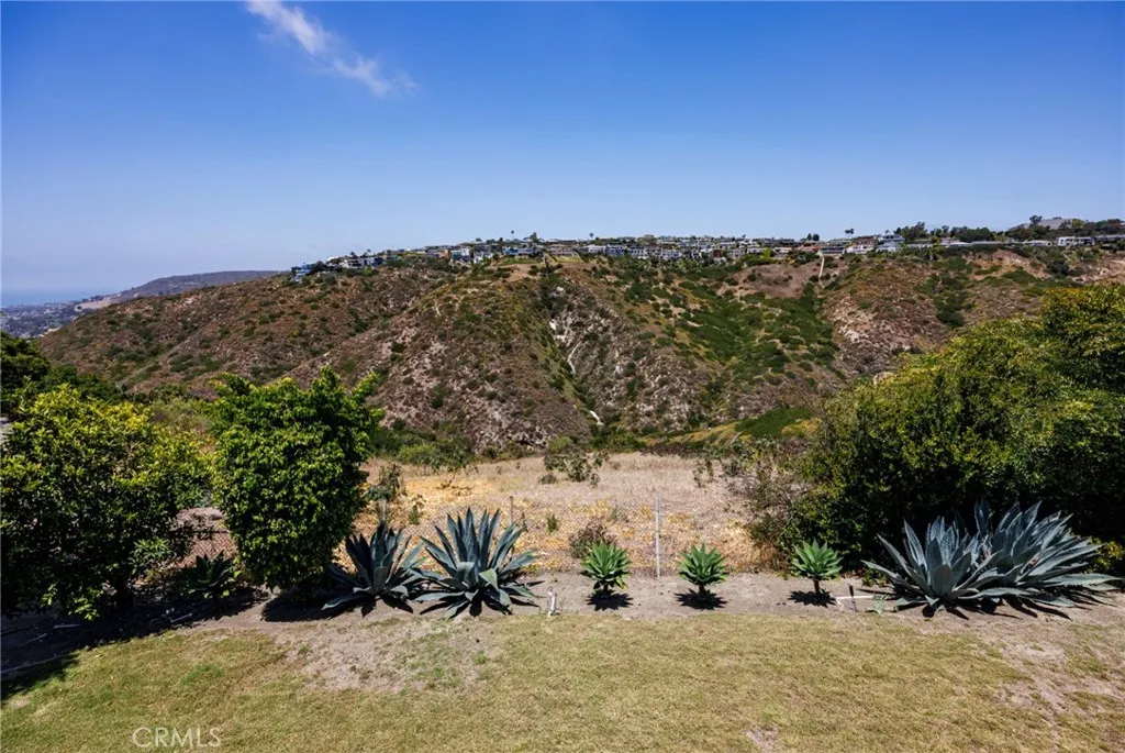 Canyon View