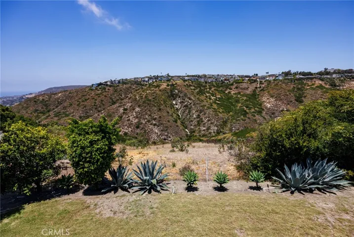 Canyon View