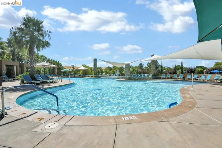 Curved swimming pool with concrete decking, surrounded by shade structures, palm trees, and perimeter landscaping