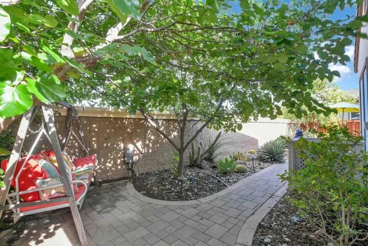 Paver pathway leading through a private outdoor space, featuring a mature shade tree, block wall, and desert landscaping