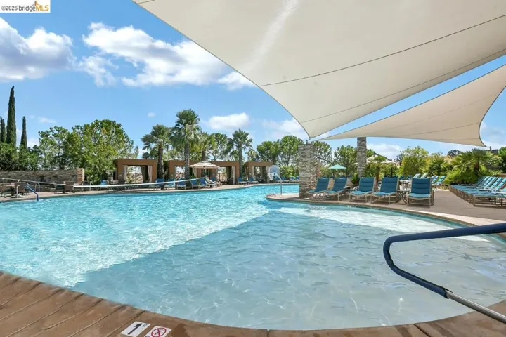 Expansive swimming pool with a curving perimeter and integrated shallow area