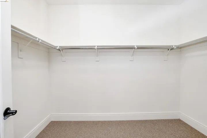Walk-in closet featuring wall-mounted garment rods, clean white walls, and neutral carpeting