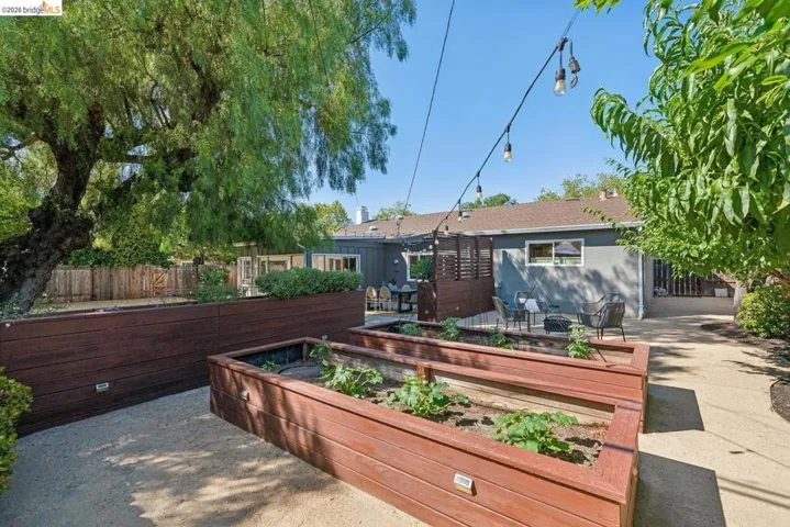 Spacious backyard featuring multiple raised garden beds, a gravel patio, and a mature tree providing natural shade