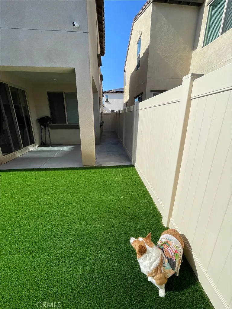 Unaltered Image