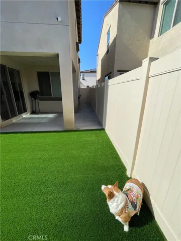 Unaltered Image