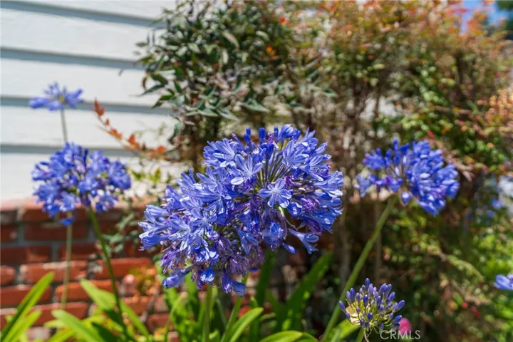 29119 S Highmore, Rancho Palos Verdes, California 90275