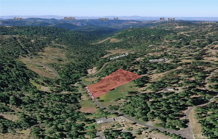 25700 Wildflower Drive, Pioneer, California 95689