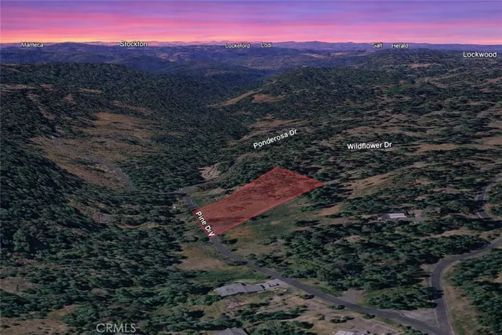 25700 Wildflower Drive, Pioneer, California 95689