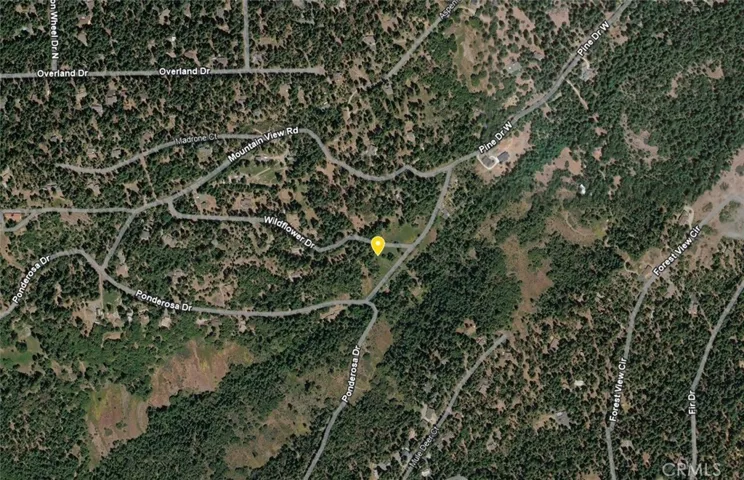 25700 Wildflower Drive, Pioneer, California 95689