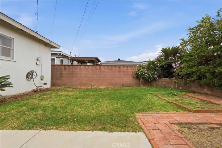 Grassy back yard