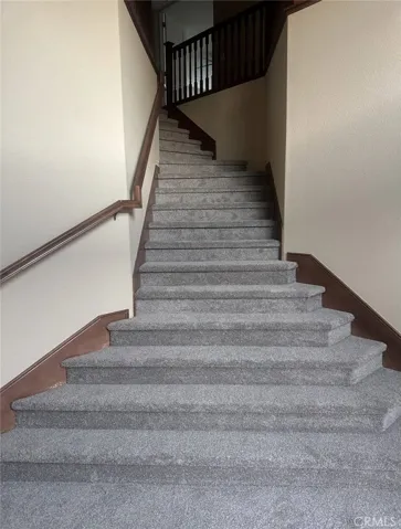 new carpet throughout