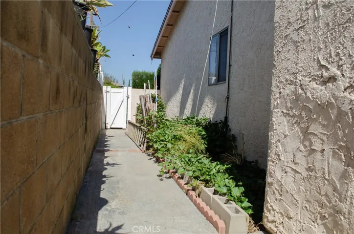 Side yard