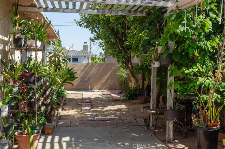 Back yard - gardener's delight!