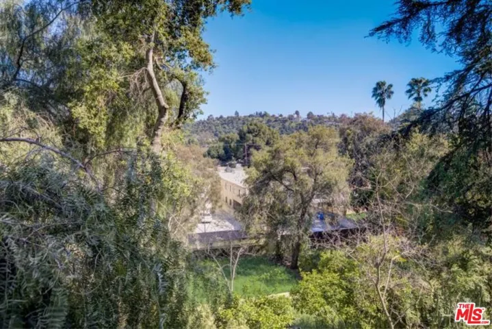 View of back yard