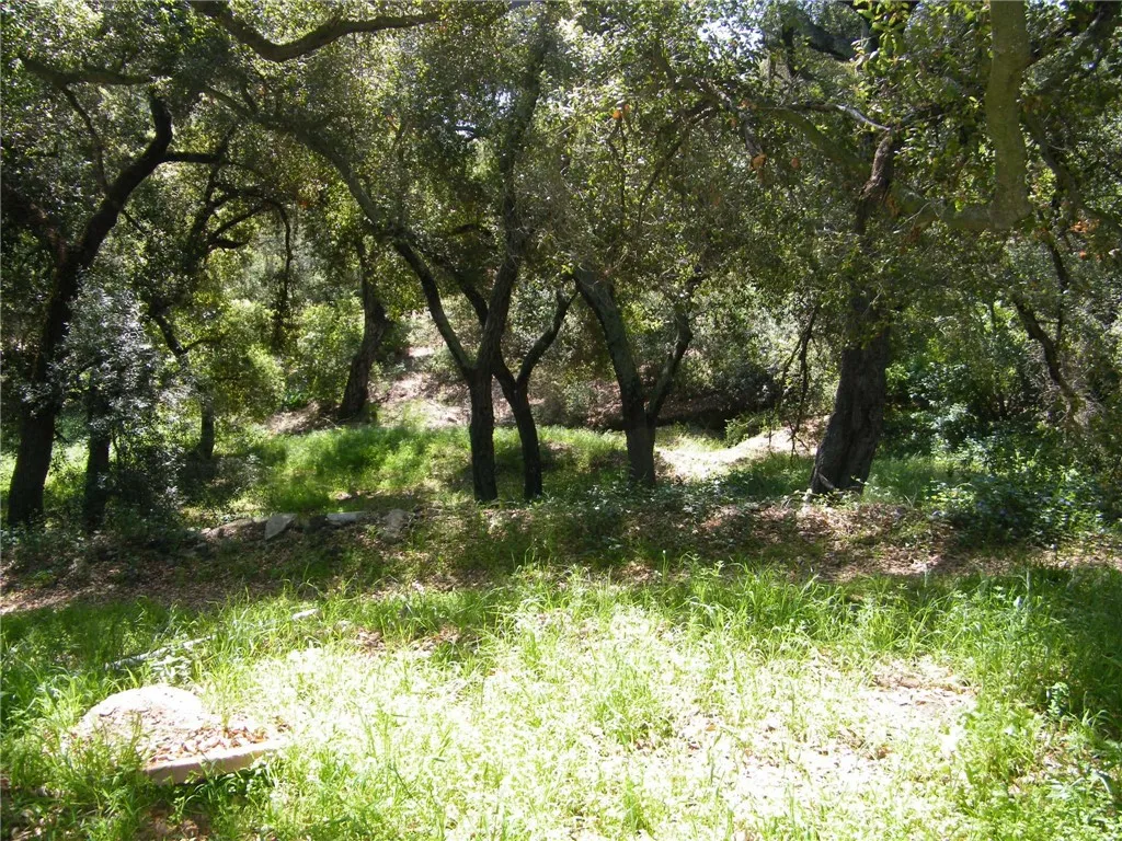 Totla lot is 2 acres