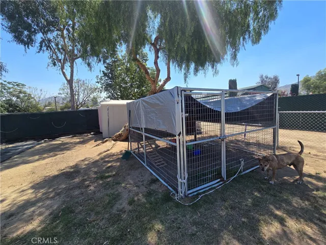 dog kennel or chicken coop