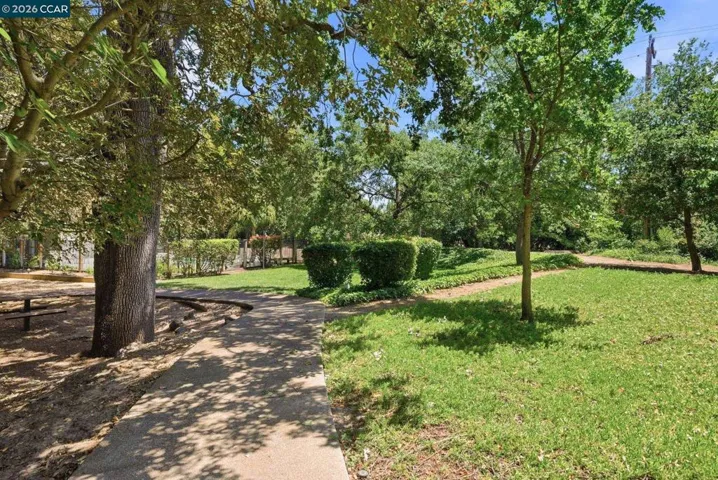 Common Area Open Space