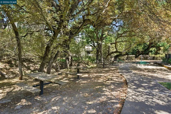 Common Picnic Area