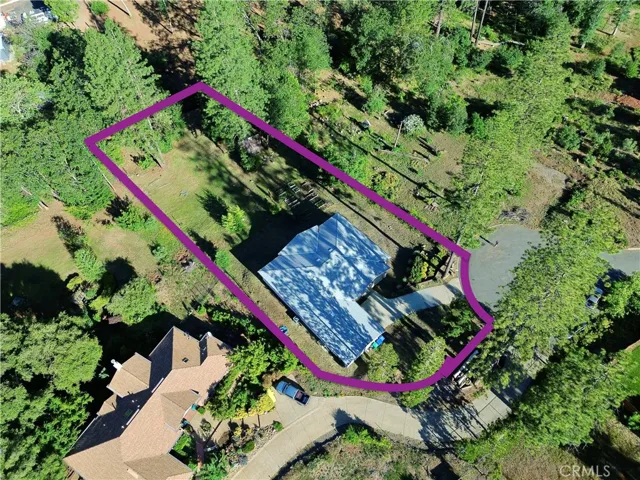 Property Lines (approximate)